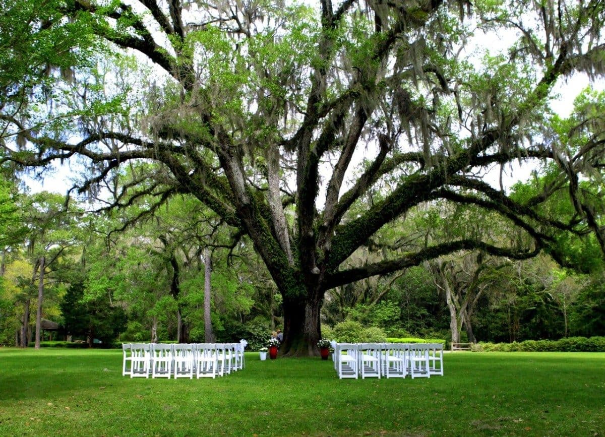 Eden Gardens State Park