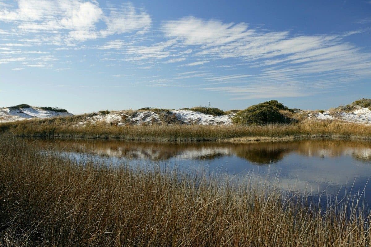 Grayton Beach State Park