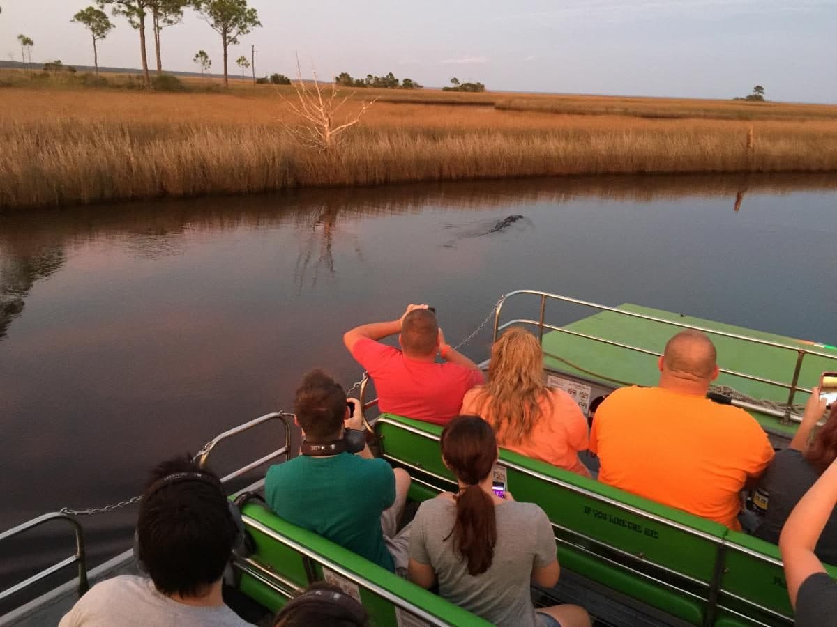 Wild Thang Airboat Tours
